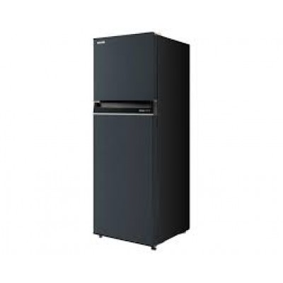 TỦ LẠNH TOSHIBA RT303WE PMV 233L
