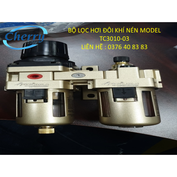 BỘ LỌC HƠI ĐÔI KHÍ NÉN MODEL TC3010-03