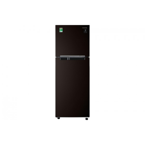 Tủ lạnh Samsung Inverter 236 lít RT22M4032BY/SV