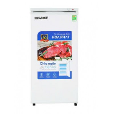 Tủ đông đứng Hòa Phát HPF-AU6147  147 lít